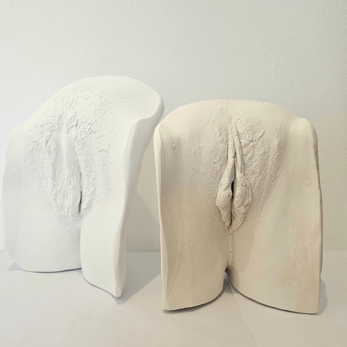 Vulva Cast - Friends' Session for two