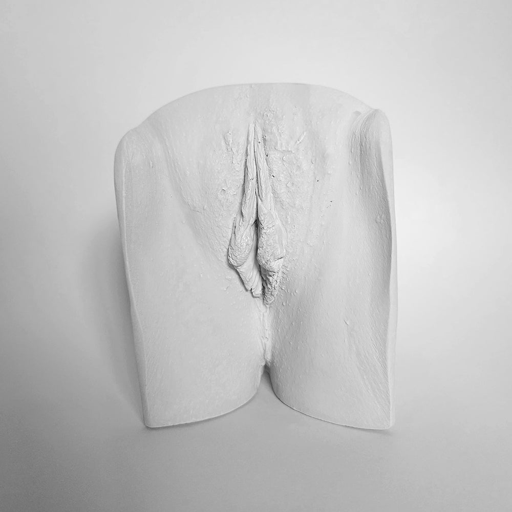 Vulva Cast - Friends' Session for two