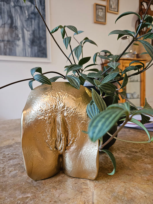 Vulva Cast