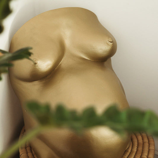 Pregnancy Cast